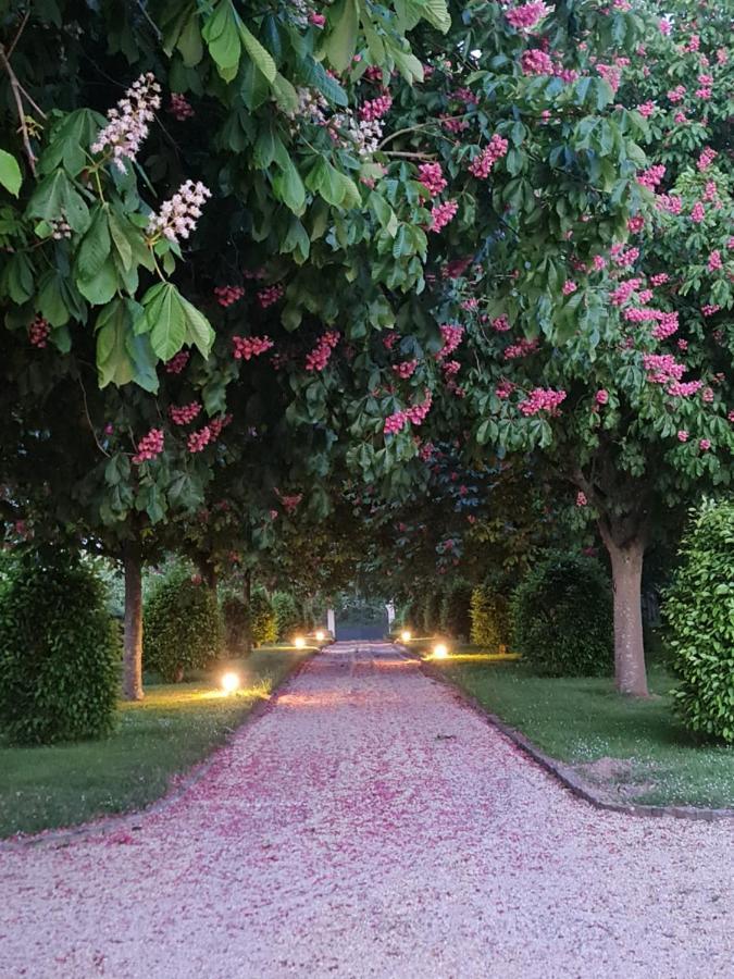 Hotel Le Manoir Des Marronniers Sully  Exterior foto